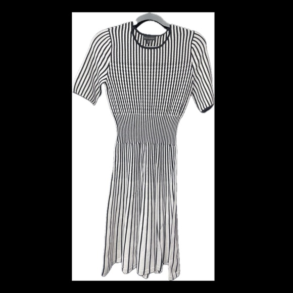 Banana republic NWT White w Black STRIPE FIT-AND-FLARE SWEATER DRESS, XS - Picture 5 of 5